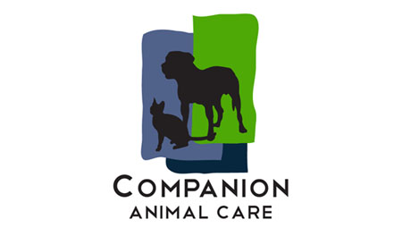 Graphic-Design-Portfolio-Kira-Brooks-Media-Ashland-Oregon-Logo-Companion-Animal-Care